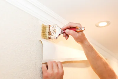 Pose de papier peint à Tamniès — revêtements muraux et toiles de verre